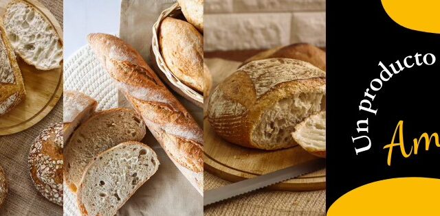 448202011_795589392677911_2908933859748156241_n