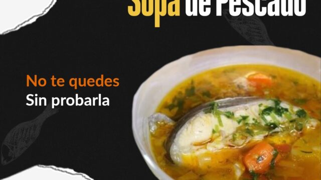 449684490_988604893266062_114137089417013969_n