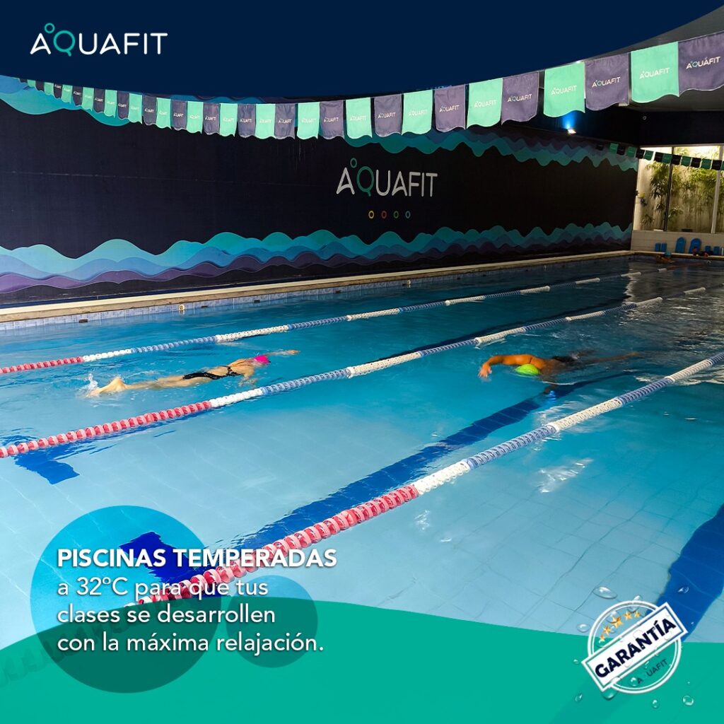 453986314_903237361843127_5540259574696482546_n