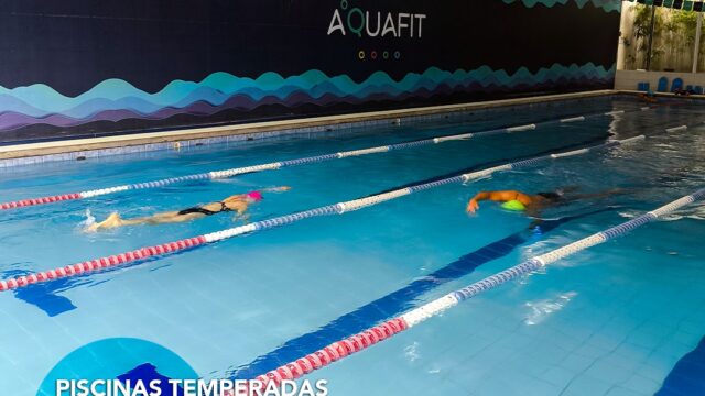 453986314_903237361843127_5540259574696482546_n