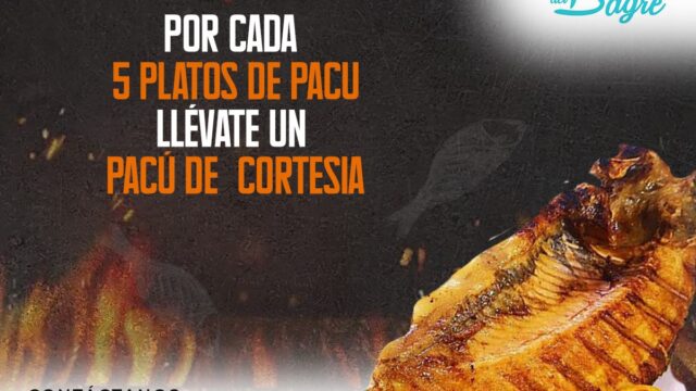 454667720_1015284167264801_7744980859964002687_n