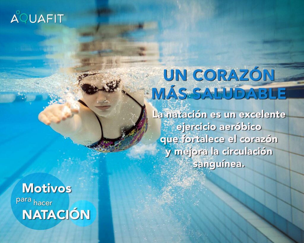 454730528_908149664685230_2715485617477945099_n