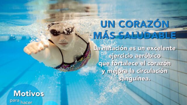 454730528_908149664685230_2715485617477945099_n