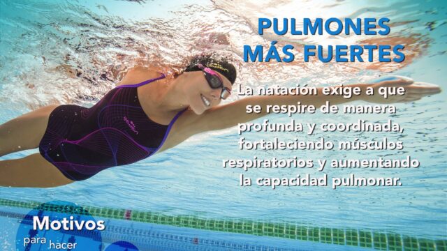 454753900_908149721351891_8132673947119278691_n