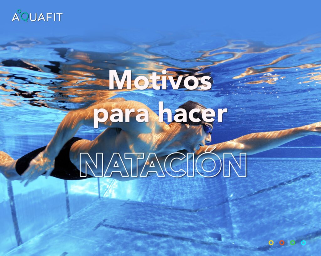 454871922_908149571351906_3838482960030946232_n