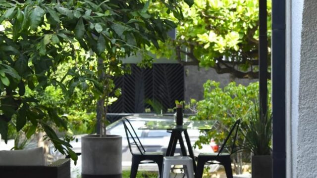 469121726_976732974499998_6439607325156624429_n