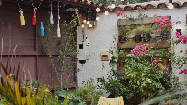 472284309_18055612250293975_4028621269734420438_n