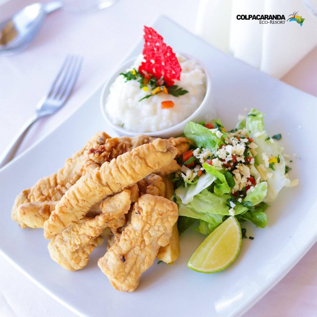 473425123_998208042352401_6322731159648088483_n