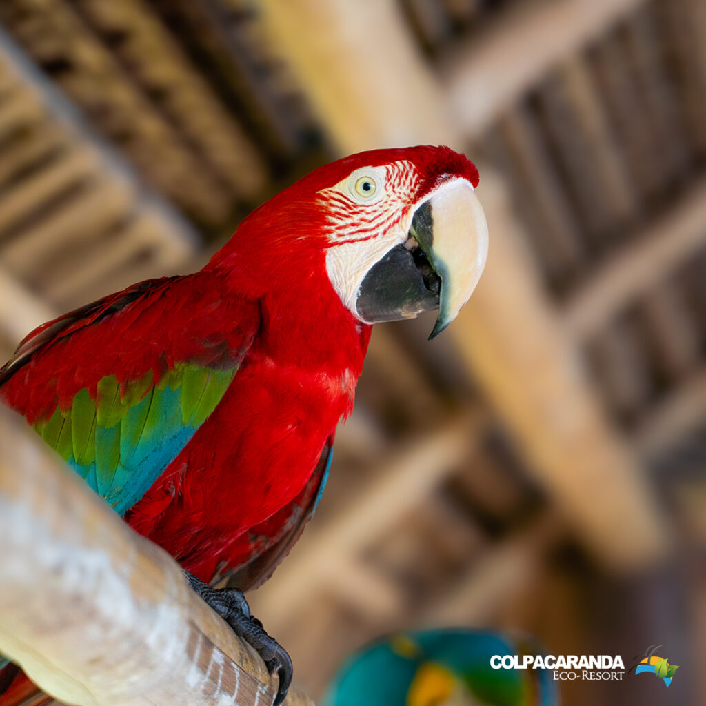 473726638_1002460268593845_1847279590991378272_n