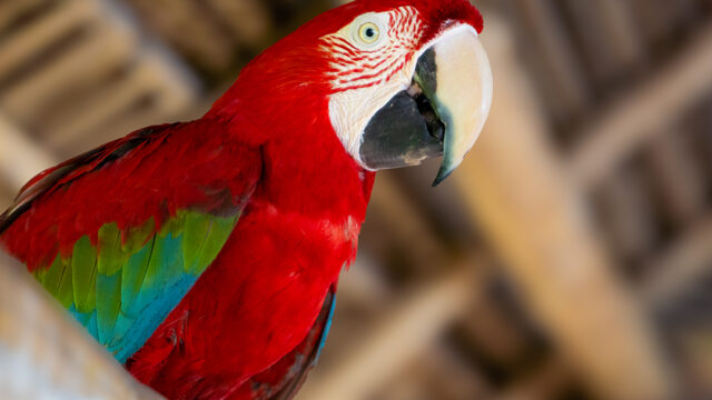 473726638_1002460268593845_1847279590991378272_n