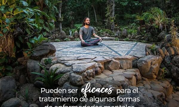 473780733_1003463808493502_7896817124854061457_n