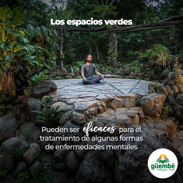 473780733_1003463808493502_7896817124854061457_n