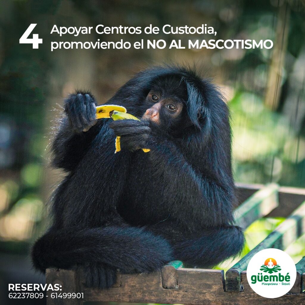 474730740_1005718861601330_3609213684910058749_n