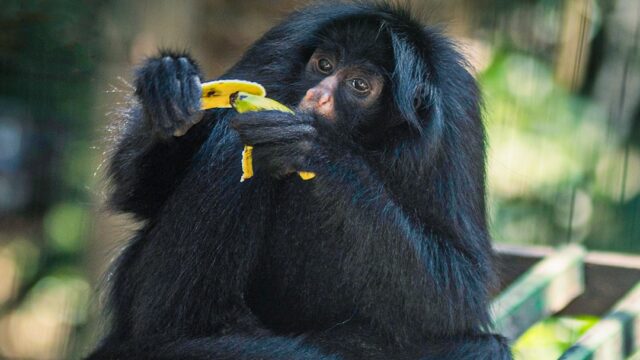 474730740_1005718861601330_3609213684910058749_n