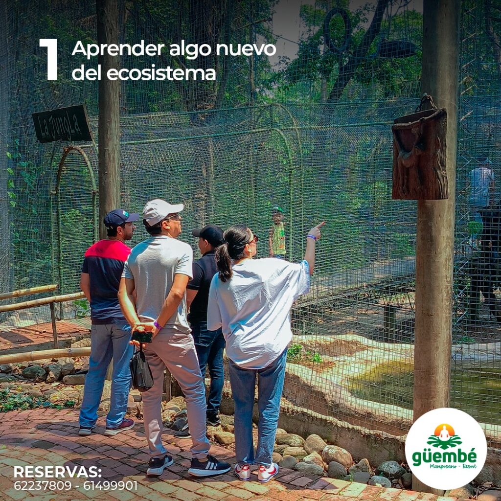 474745066_1005718961601320_6753708634970341753_n