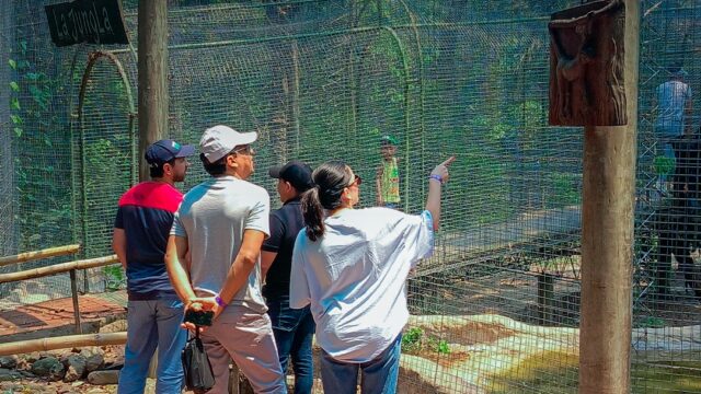 474745066_1005718961601320_6753708634970341753_n