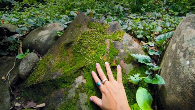 474746247_1005718921601324_1715542009757072201_n