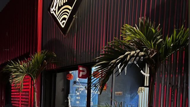 4e8fed82-e12b-4756-80e9-353f929764f2