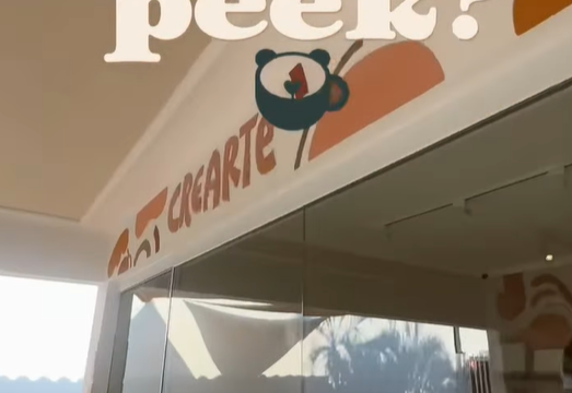 Captura de pantalla 2025-01-23 162743