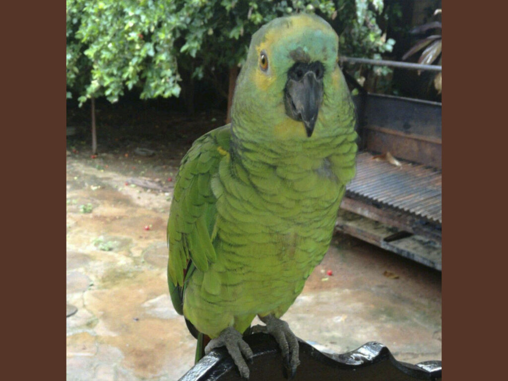 Restaurante El Buen Gusto