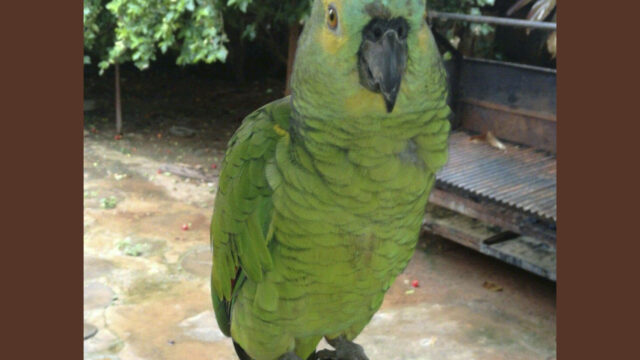 279344345_386352013501088_2157171415236279984_n