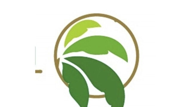 289260141_514220063828145_8133819484322890181_n