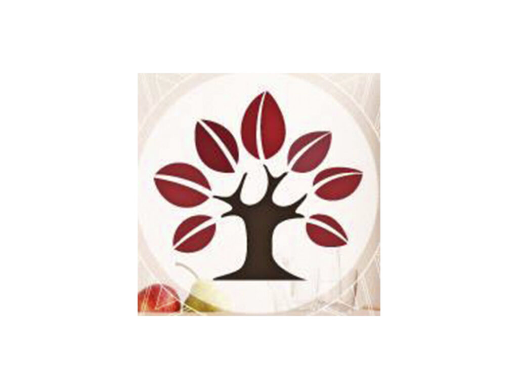 Artesanos Don Bosco Bolivia