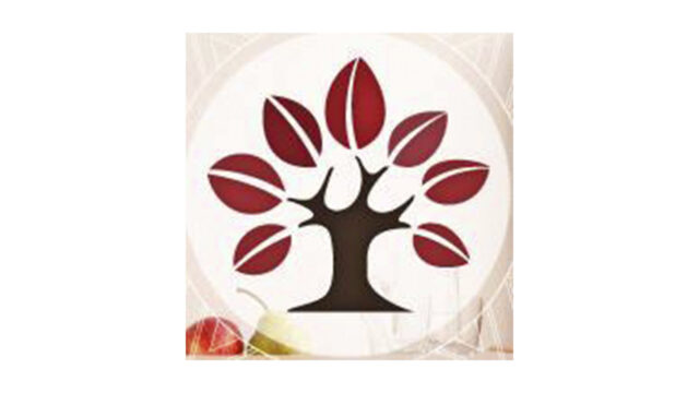 312137518_544305527699492_7739865861158997933_n