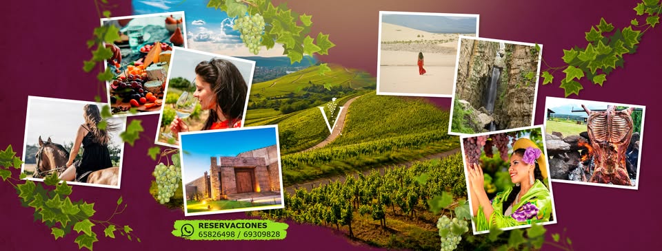 351007772_1996537124055154_5747414189519401709_n