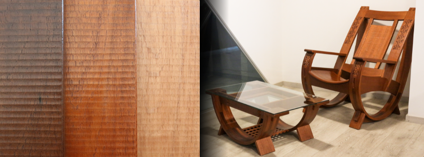 453997930_1027852786011428_8305965081780280042_n