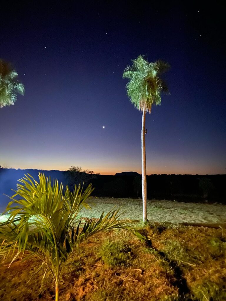 454589818_884066690412816_4002092445422712467_n