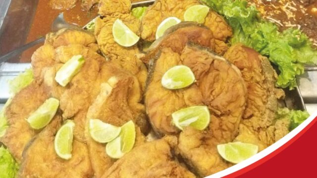 462194407_955629766582682_2485135904868103170_n