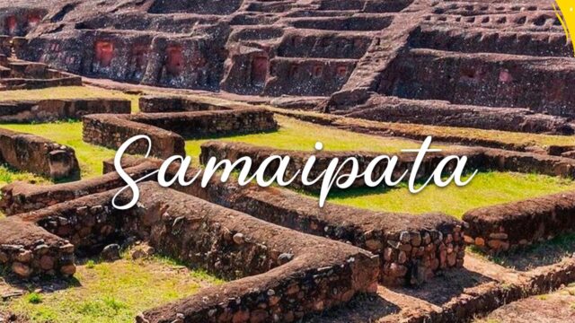 462589078_845720097723091_2503071153635039551_n