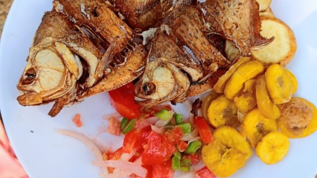 464314655_1080766517388290_4887791512285680008_n