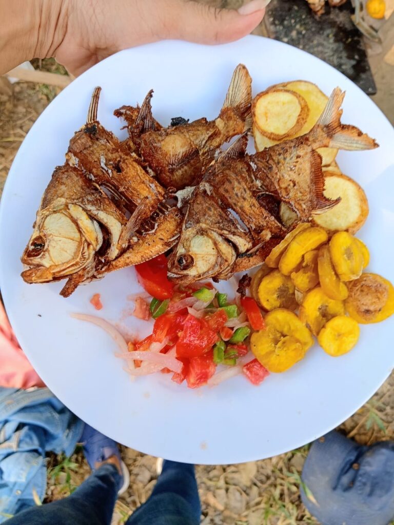 464314655_1080766517388290_4887791512285680008_n