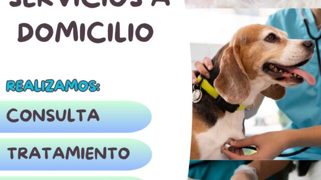 465734107_547825731339817_8732201674735753617_n