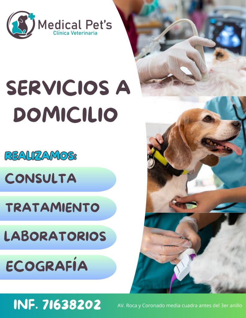 465734107_547825731339817_8732201674735753617_n