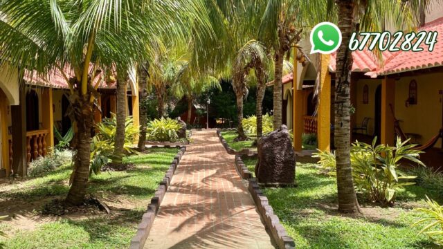 465788928_832172035781029_5420287573455801114_n