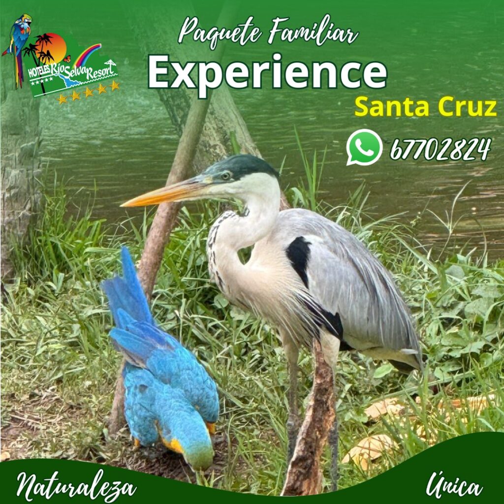 465990967_832172019114364_7054939115577655253_n