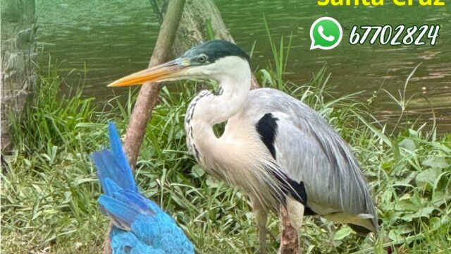 465990967_832172019114364_7054939115577655253_n