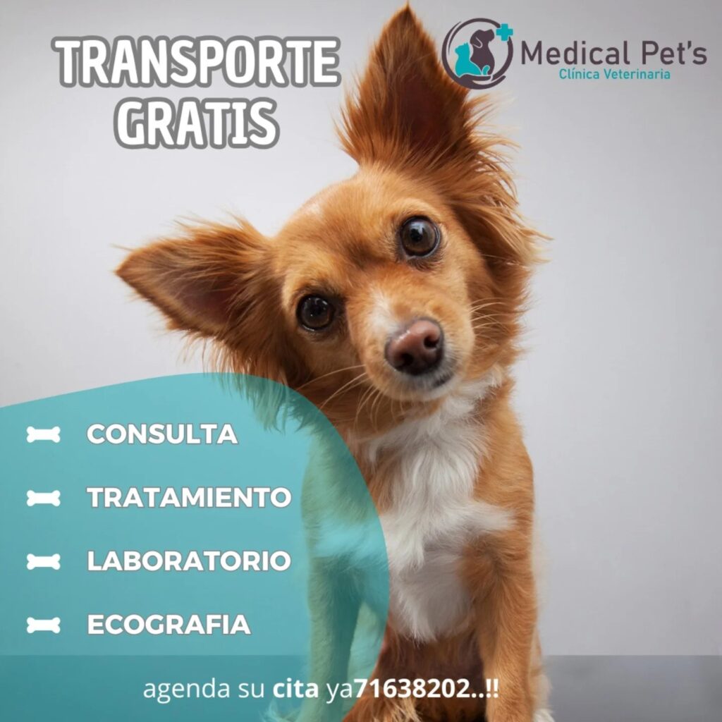 467014250_553037440818646_8430703486497575211_n