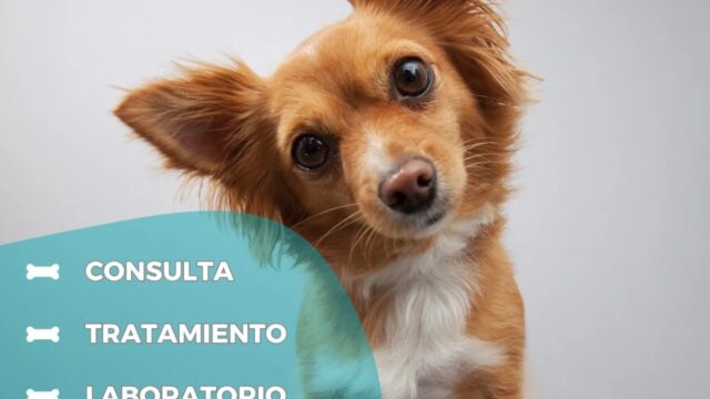 467014250_553037440818646_8430703486497575211_n