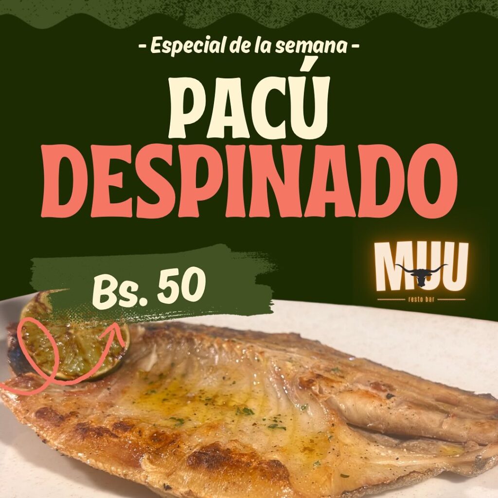 467699201_17885388255157225_5408156337064573884_n