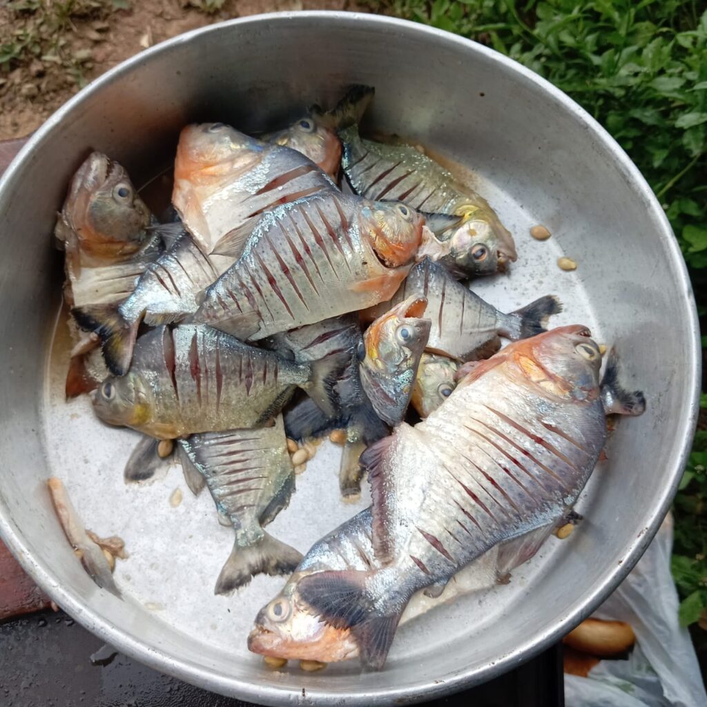 467742264_1102728198525455_5628216503234929485_n