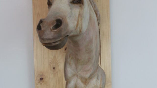 469522649_1127827266013979_248334669486279575_n