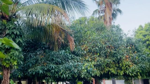 469985024_122165501882051255_7105776605688861245_n