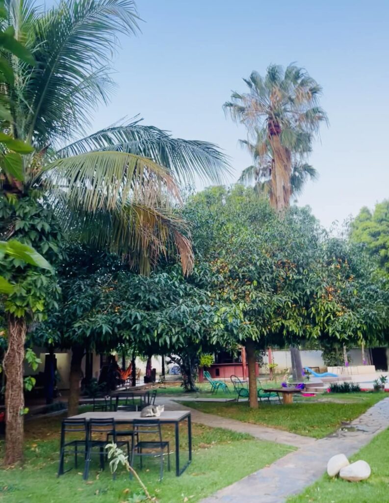 469985024_122165501882051255_7105776605688861245_n