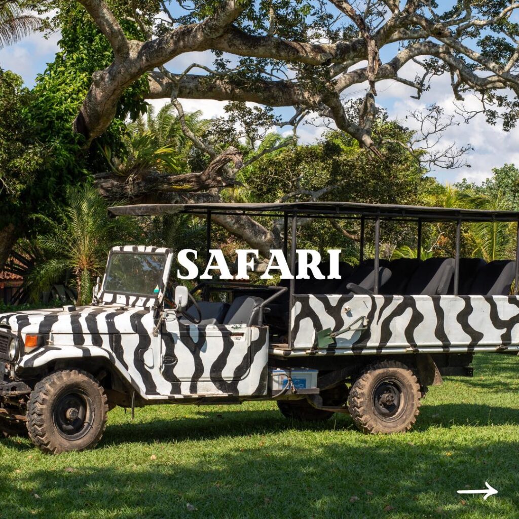 472445836_1014354917397112_3486323593065127357_n