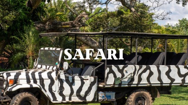 472445836_1014354917397112_3486323593065127357_n