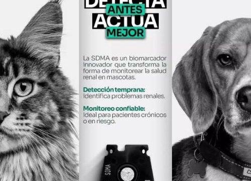 472460488_588943843894672_2395918257105303655_n